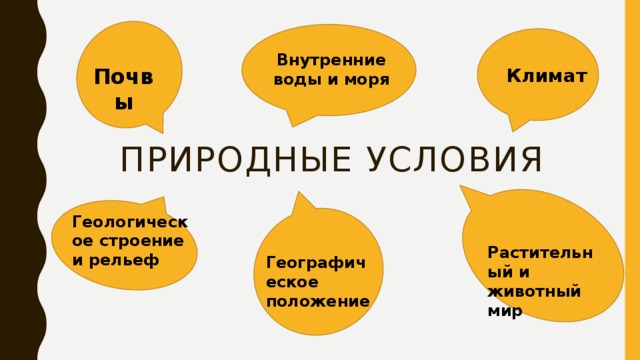  Внутренние воды и моря Почвы Климат Природные условия Геологическое строение и рельеф Растительный и животный мир Географическое положение 