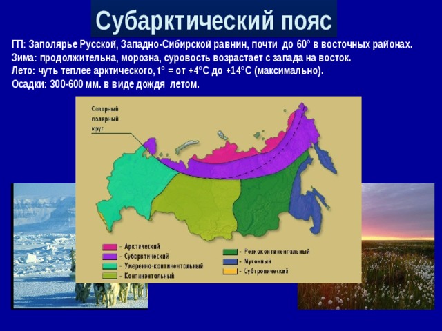 Субарктический пояс ГП: Заполярье Русской, Западно-Сибирской равнин, почти до 60° в восточных районах. Зима: продолжительна, морозна, суровость возрастает с запада на восток. Лето: чуть теплее арктического, t° = от +4°С до +14°С (максимально). Осадки: 300-600 мм. в виде дождя летом.  