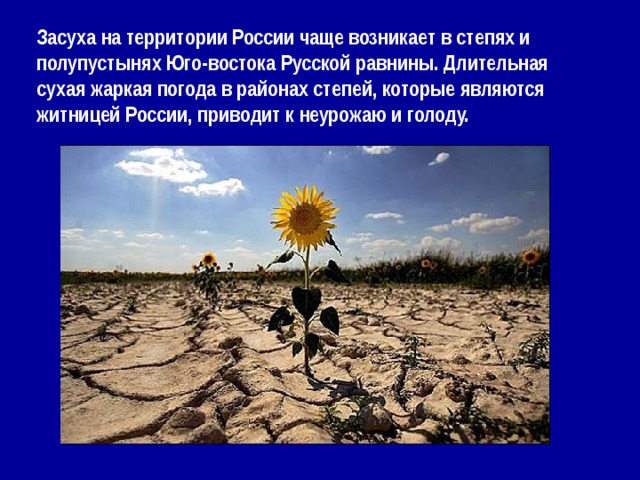 Засуха на территории России чаще возникает в степях и полупустынях Юго-востока Русской равнины. Длительная сухая жаркая погода в районах степей, которые являются житницей России, приводит к неурожаю и голоду. 