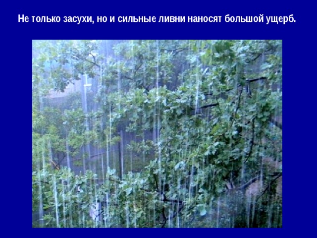 Не только засухи, но и сильные ливни наносят большой ущерб.   