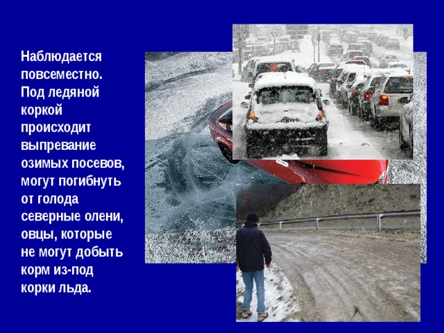 Наблюдается повсеместно. Под ледяной коркой происходит выпревание озимых посевов, могут погибнуть от голода северные олени, овцы, которые не могут добыть корм из-под корки льда. 
