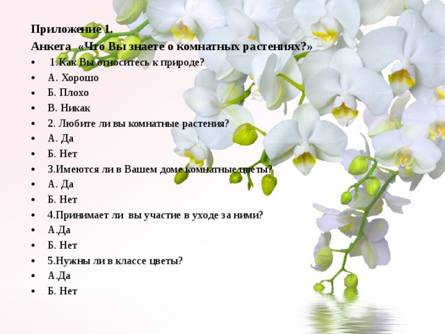 Приложение 1. Анкета «Что Вы знаете о комнатных растениях?»   1.Как Вы относитесь к природе? А. Хорошо Б. Плохо В. Никак 2. Любите ли вы комнатные растения? А. Да Б. Нет 3.Имеются ли в Вашем доме комнатные цветы? А. Да Б. Нет 4.Принимает ли вы участие в уходе за ними? А.Да Б. Нет 5.Нужны ли в классе цветы? А.Да Б. Нет 
