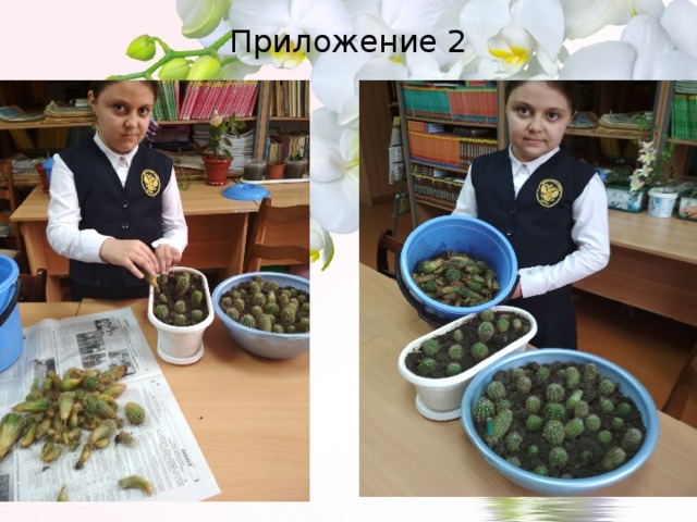 Приложение 2 