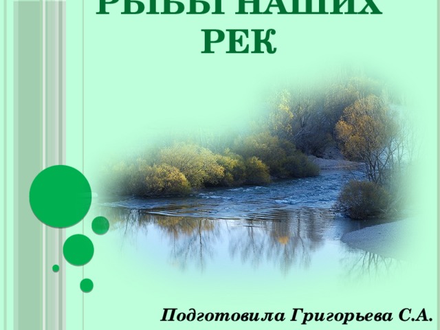Рыбы наших рек Подготовила Григорьева С.А. 