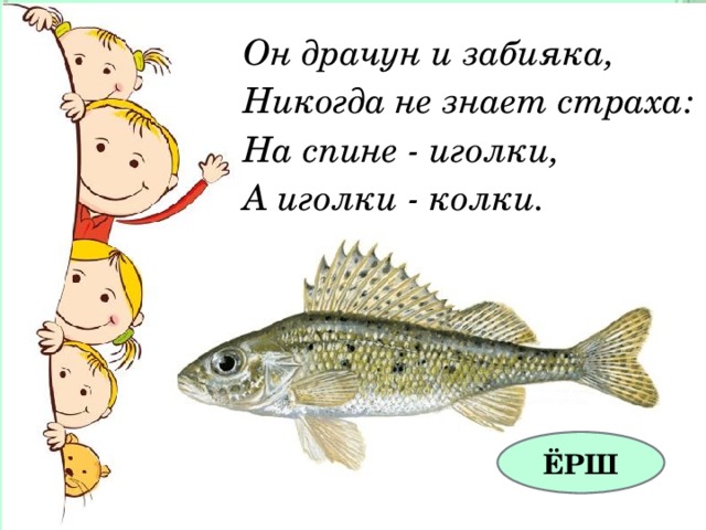 Он драчун и забияка, Никогда не знает страха: На спине - иголки, А иголки - колки. ЁРШ 
