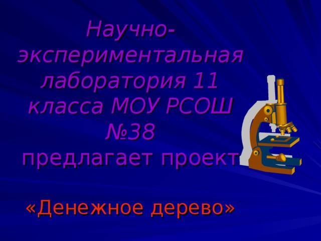Научно-экспериментальная лаборатория 11 класса МОУ РСОШ №38  предлагает проект   «Денежное дерево»