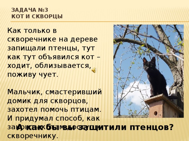 Задача №3  Кот и скворцы Как только в скворечнике на дереве запищали птенцы, тут как тут объявился кот – ходит, облизывается, поживу чует. Мальчик, смастеривший домик для скворцов, захотел помочь птицам. И придумал способ, как закрыть котам доступ к скворечнику. А как бы вы защитили птенцов? 