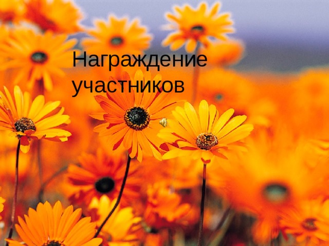 Награждение участников 
