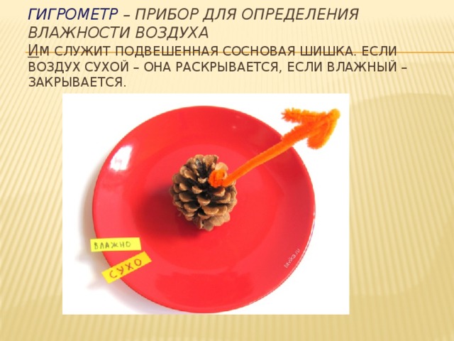 Гигрометр  – прибор для определения влажности воздуха  И м служит подвешенная сосновая шишка. Если воздух сухой – она раскрывается, если влажный – закрывается.   