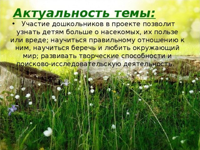 Актуальность темы:     Участие дошкольников в проекте позволит узнать детям больше о насекомых, их пользе или вреде; научиться правильному отношению к ним, научиться беречь и любить окружающий мир; развивать творческие способности и поисково-исследовательскую деятельность.  