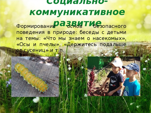 Социально-коммуникативное развитие    Формирование основ безопасного поведения в природе: беседы с детьми на темы: «Что мы знаем о насекомых», «Осы и пчелы», «Держитесь подальше от гусениц» и т.п. 