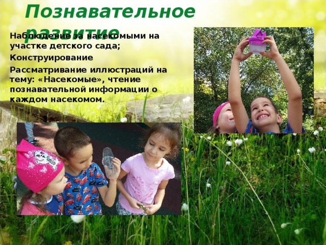 Познавательное развитие    Наблюдение за насекомыми на участке детского сада; Конструирование Рассматривание иллюстраций на тему: «Насекомые», чтение познавательной информации о каждом насекомом.  