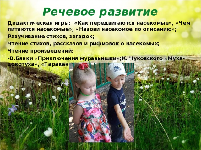 Речевое развитие    Дидактическая игры: «Как передвигаются насекомые», «Чем питаются насекомые»; «Назови насекомое по описанию»; Разучивание стихов, загадок; Чтение стихов, рассказов и рифмовок о насекомых; Чтение произведений: -В.Бянки «Приключения муравьишки»;К. Чуковского «Муха-цокотуха», «Тараканище»  