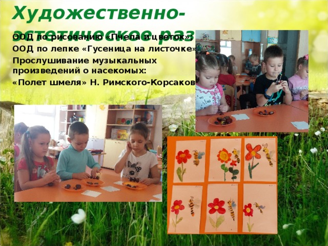 Художественно-эстетическое развитие    ООД по рисованию «Пчела и цветок»; ООД по лепке «Гусеница на листочке»; Прослушивание музыкальных произведений о насекомых: «Полет шмеля» Н. Римского-Корсакового;  