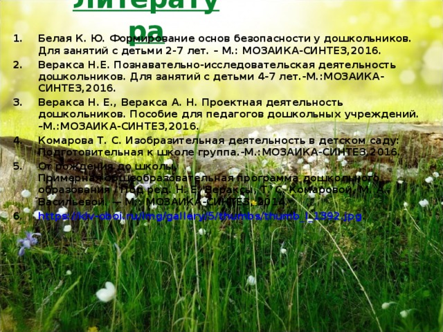 Литература Белая К. Ю. Формирование основ безопасности у дошкольников. Для занятий с детьми 2-7 лет. – М.: МОЗАИКА-СИНТЕЗ,2016. Веракса Н.Е. Познавательно-исследовательская деятельность дошкольников. Для занятий с детьми 4-7 лет.-М.:МОЗАИКА-СИНТЕЗ,2016. Веракса Н. Е., Веракса А. Н. Проектная деятельность дошкольников. Пособие для педагогов дошкольных учреждений. –М.:МОЗАИКА-СИНТЕЗ,2016. Комарова Т. С. Изобразительная деятельность в детском саду: Подготовительная к школе группа.-М.:МОЗАИКА-СИНТЕЗ,2016. От рождения до школы. Примерная общеобразовательная программа дошкольного образования / Под ред. Н. Е. Вераксы, Т. С. Комаровой, М. А. Васильевой. — М.: МОЗАИКА-СИНТЕЗ, 2014. https://klv-oboi.ru/img/gallery/5/thumbs/thumb_l_1392.jpg .  