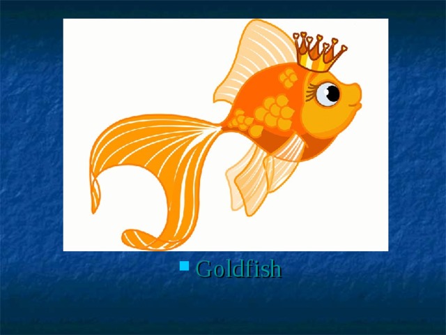Goldfish 