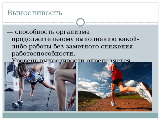 Выносливость — способность организма продолжительному выполнению какой-либо работы без заметного снижения работоспособности. Уровень выносливости определяется временем... 