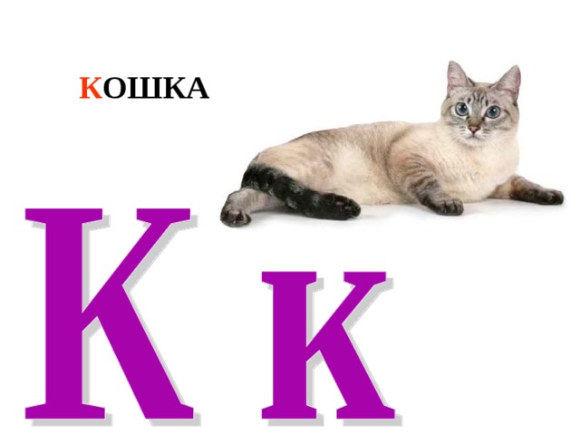 К ОШКА 