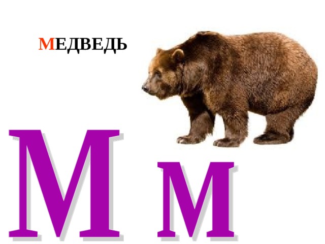 М ЕДВЕДЬ 