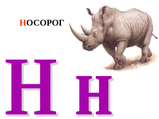 Н ОСОРОГ 