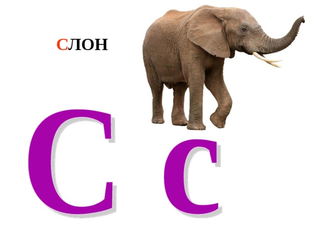 С ЛОН 