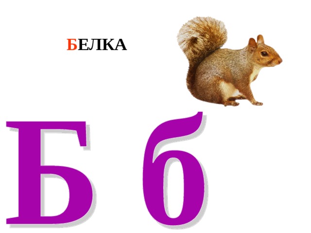 Б ЕЛКА 