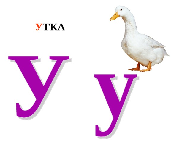 У ТКА 