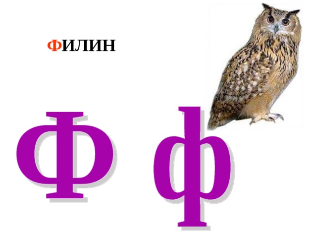 Ф ИЛИН 