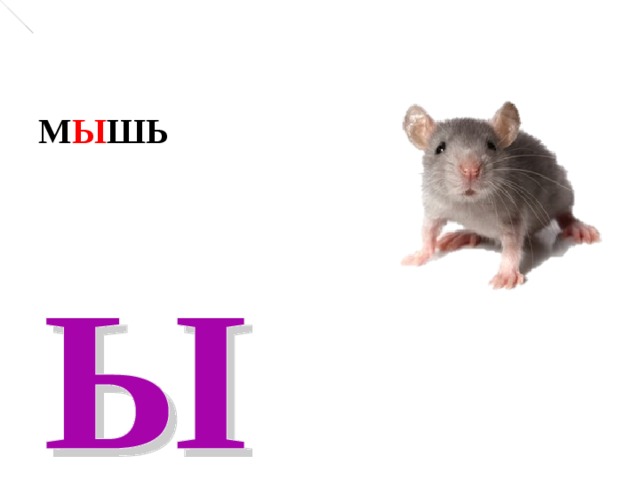   М Ы ШЬ   