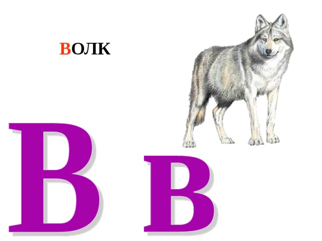В ОЛК 