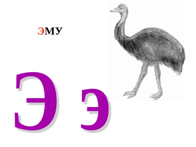 Э МУ 
