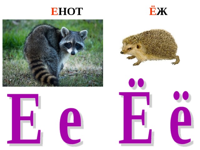 Ё Ж Е НОТ 