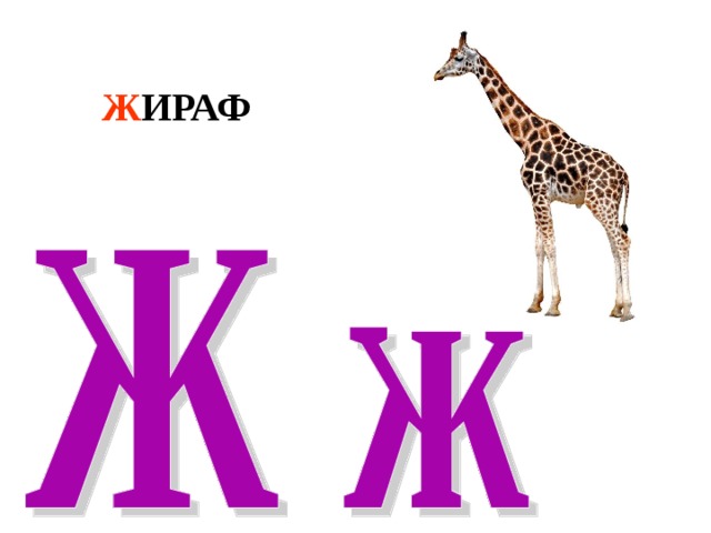 Ж ИРАФ 