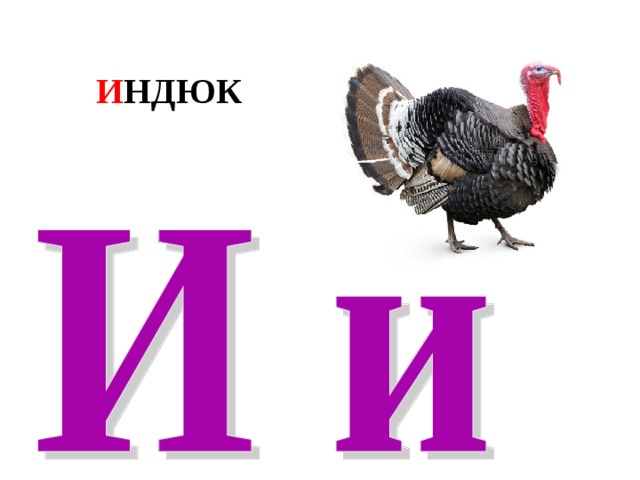 И НДЮК 