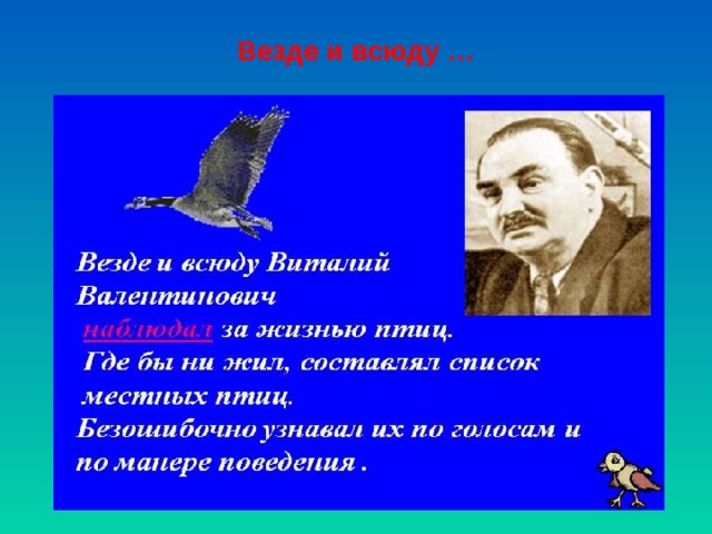 Везде и всюду … 