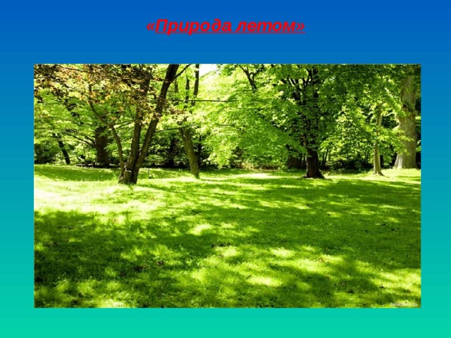 « Природа летом» 