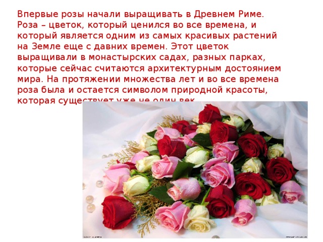Впервые розы начали выращивать в Древнем Риме. Роза – цветок, который ценился во все времена, и который является одним из самых красивых растений на Земле еще с давних времен. Этот цветок выращивали в монастырских садах, разных парках, которые сейчас считаются архитектурным достоянием мира. На протяжении множества лет и во все времена роза была и остается символом природной красоты, которая существует уже не один век. 