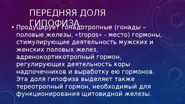 Передняя доля гипофиза. Продуцирует гонадотропные (гонады – половые железы, «tropos» - место) гормоны, стимулирующие деятельность мужских и женских половых желез, адренокортикотропный гормон, регулирующих деятельность коры надпочечников и выработку ею гормонов. Эта доля гипофиза выделяет также тереотропный гормон, необходимый для функционирования щитовидной железы. 