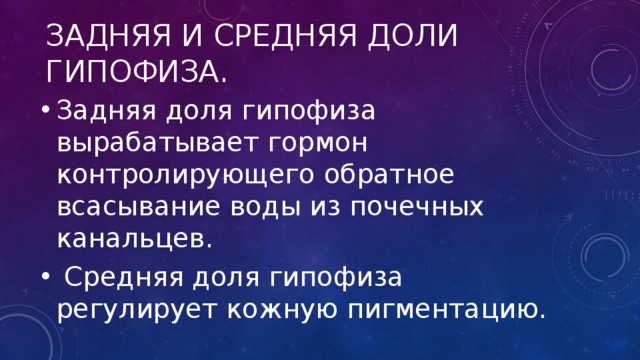 Задняя и средняя доли гипофиза. Задняя доля гипофиза вырабатывает гормон контролирующего обратное всасывание воды из почечных канальцев.  Средняя доля гипофиза регулирует кожную пигментацию. 