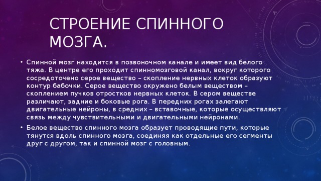 Строение спинного мозга. Спинной мозг находится в позвоночном канале и имеет вид белого тяжа. В центре его проходит спинномозговой канал, вокруг которого сосредоточено серое вещество – скопление нервных клеток образуют контур бабочки. Серое вещество окружено белым веществом – скоплением пучков отростков нервных клеток. В сером веществе различают, задние и боковые рога. В передних рогах залегают двигательные нейроны, в средних – вставочные, которые осуществляют связь между чувствительными и двигательными нейронами. Белое вещество спинного мозга образует проводящие пути, которые тянутся вдоль спинного мозга, соединяя как отдельные его сегменты друг с другом, так и спинной мозг с головным. 