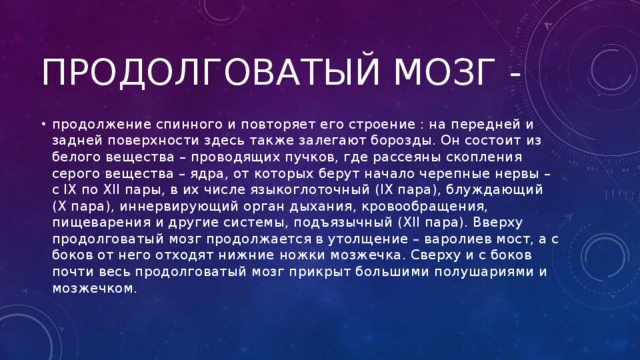 Продолговатый мозг -  продолжение спинного и повторяет его строение : на передней и задней поверхности здесь также залегают борозды. Он состоит из белого вещества – проводящих пучков, где рассеяны скопления серого вещества – ядра, от которых берут начало черепные нервы – с IX по XII пары, в их числе языкоглоточный (IX пара), блуждающий (X пара), иннервирующий орган дыхания, кровообращения, пищеварения и другие системы, подъязычный (XII пара). Вверху продолговатый мозг продолжается в утолщение – варолиев мост, а с боков от него отходят нижние ножки мозжечка. Сверху и с боков почти весь продолговатый мозг прикрыт большими полушариями и мозжечком. 