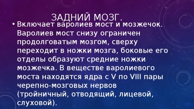 Задний мозг. Включает варолиев мост и мозжечок. Варолиев мост снизу ограничен продолговатым мозгом, сверху переходит в ножки мозга, боковые его отделы образуют средние ножки мозжечка. В веществе варолиевого моста находятся ядра с V по VIII пары черепно-мозговых нервов (тройничный, отводящий, лицевой, слуховой). 