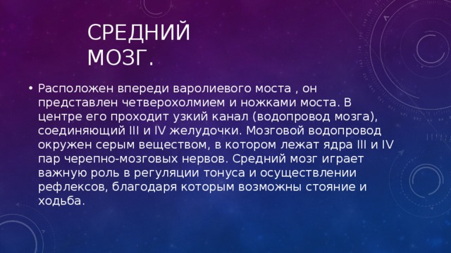 Средний мозг. Расположен впереди варолиевого моста , он представлен четверохолмием и ножками моста. В центре его проходит узкий канал (водопровод мозга), соединяющий III и IV желудочки. Мозговой водопровод окружен серым веществом, в котором лежат ядра III и IV пар черепно-мозговых нервов. Средний мозг играет важную роль в регуляции тонуса и осуществлении рефлексов, благодаря которым возможны стояние и ходьба. 