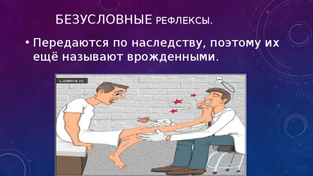 Безусловные рефлексы. Передаются по наследству, поэтому их ещё называют врожденными. 
