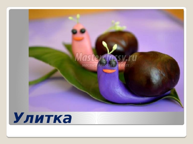 Улитка 