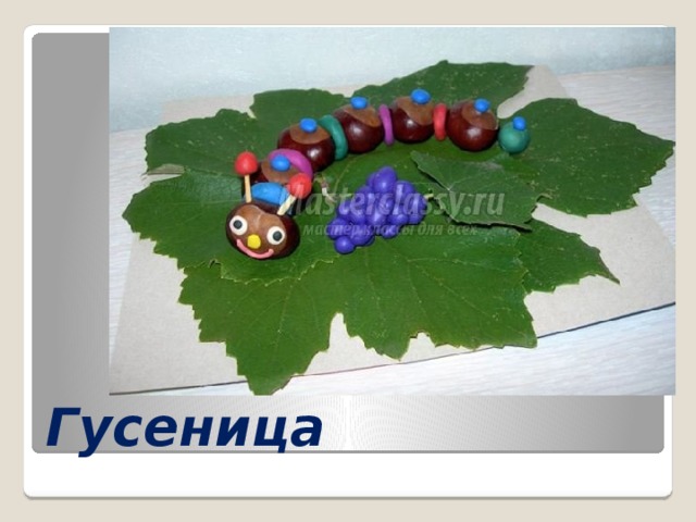Гусеница 