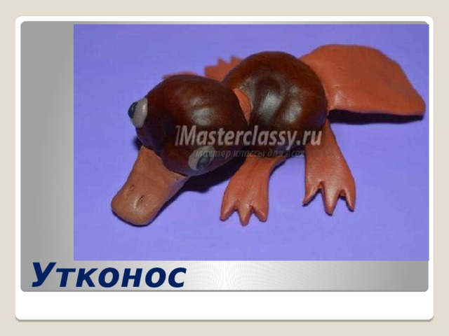 Утконос 