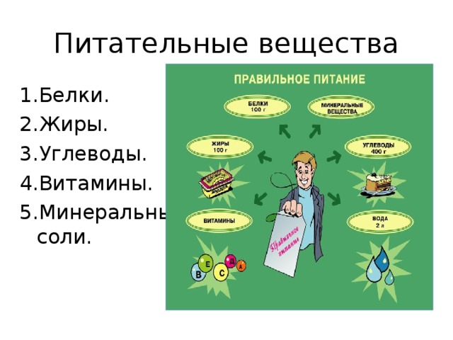 Питательные вещества 1.Белки. 2.Жиры. 3.Углеводы. 4.Витамины. 5.Минеральные соли. 