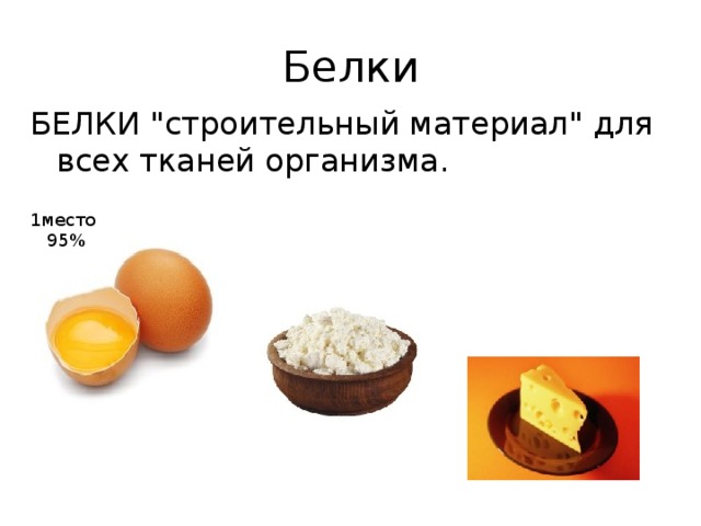 Белки БЕЛКИ 
