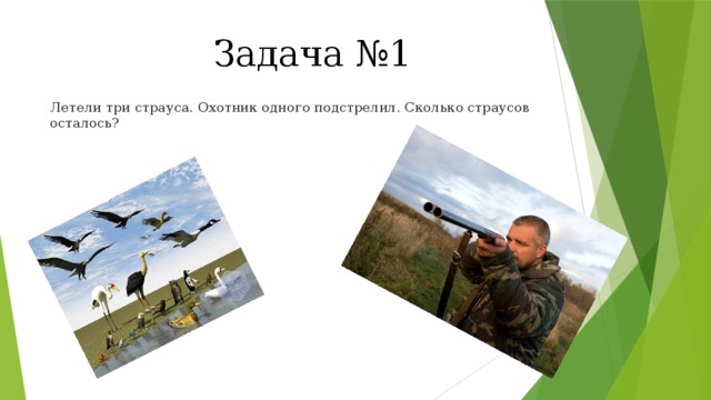 Задача №1 Летели три страуса. Охотник одного подстрелил. Сколько страусов осталось? 